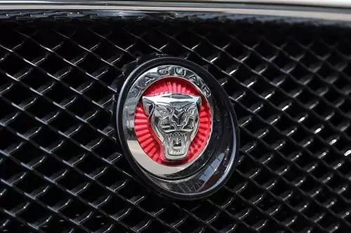 車標(biāo)上的動物都是啥來頭？看完又能出去裝X了