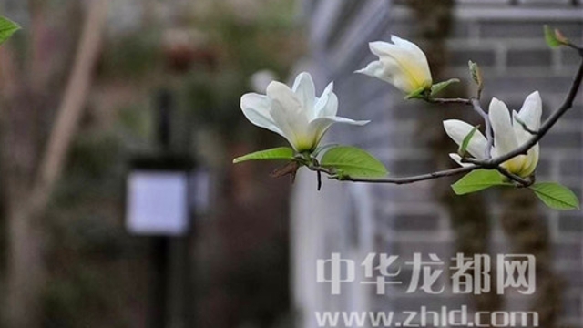 淮陽蓮舍，多了一份味道