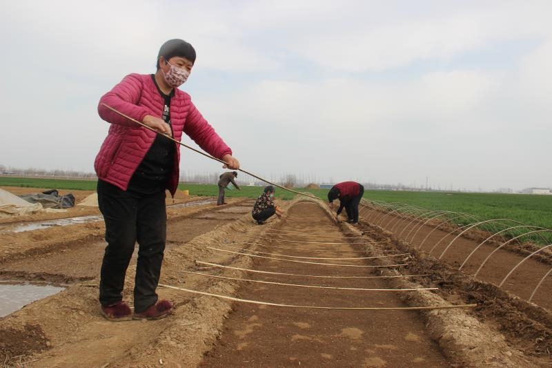 疫情防控、春耕生產(chǎn)兩手抓