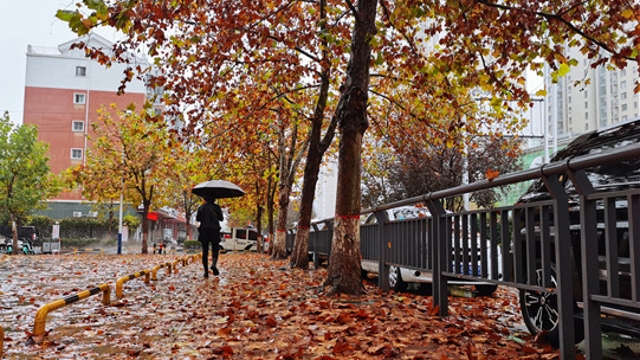雨中周口，別有一番韻味